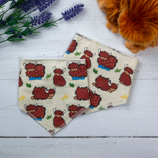 Spring Coos Bandana Bib