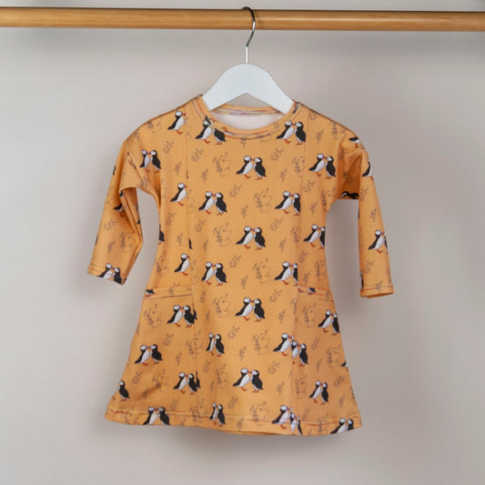 Puffins Skater Dress