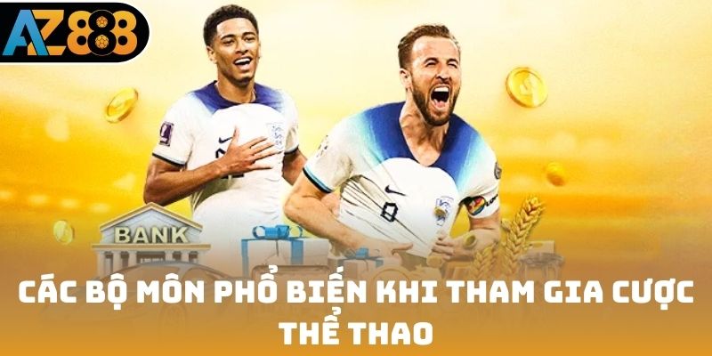 Các bộ môn phổ biến khi tham gia cược thể thao
